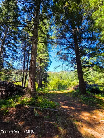 $150,000 | 10 Acres Priest River, Priest River, ID 83856