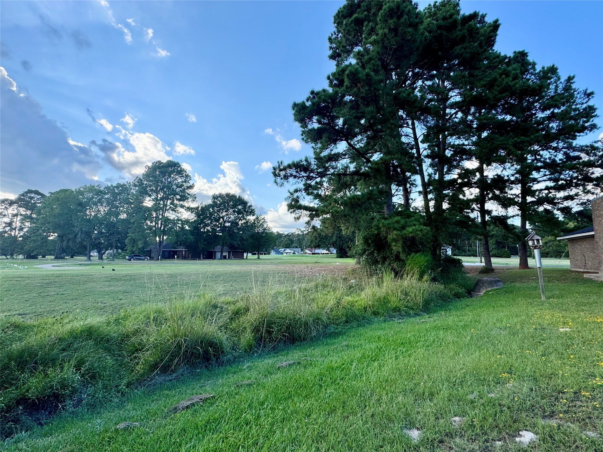 20 Shallow Springs Trinity, TX 75862 - Photo 8 of 48 a view of a grassy field with trees