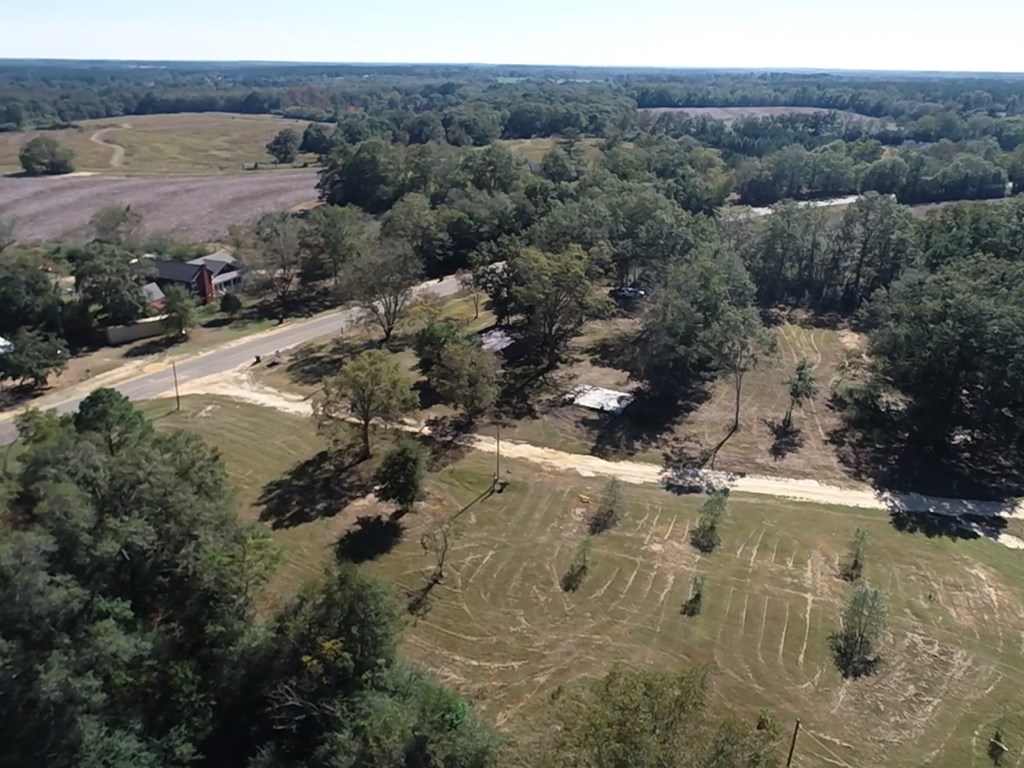 1081 Forrester Road Dothan, AL 36301 - Photo 7 of 51