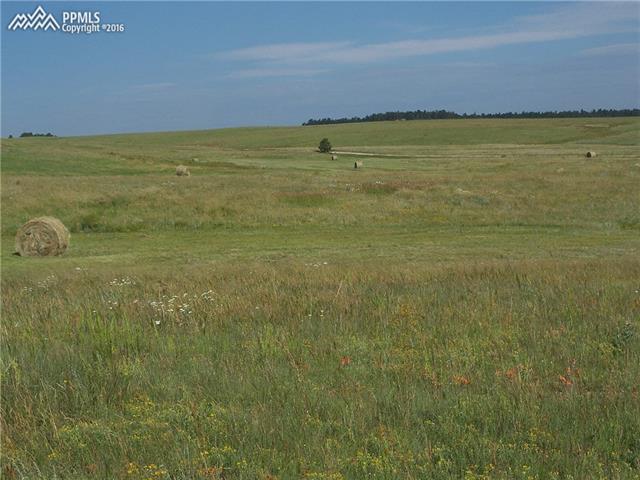 Evans Road Elbert, CO 80106 - Photo 4 of 4