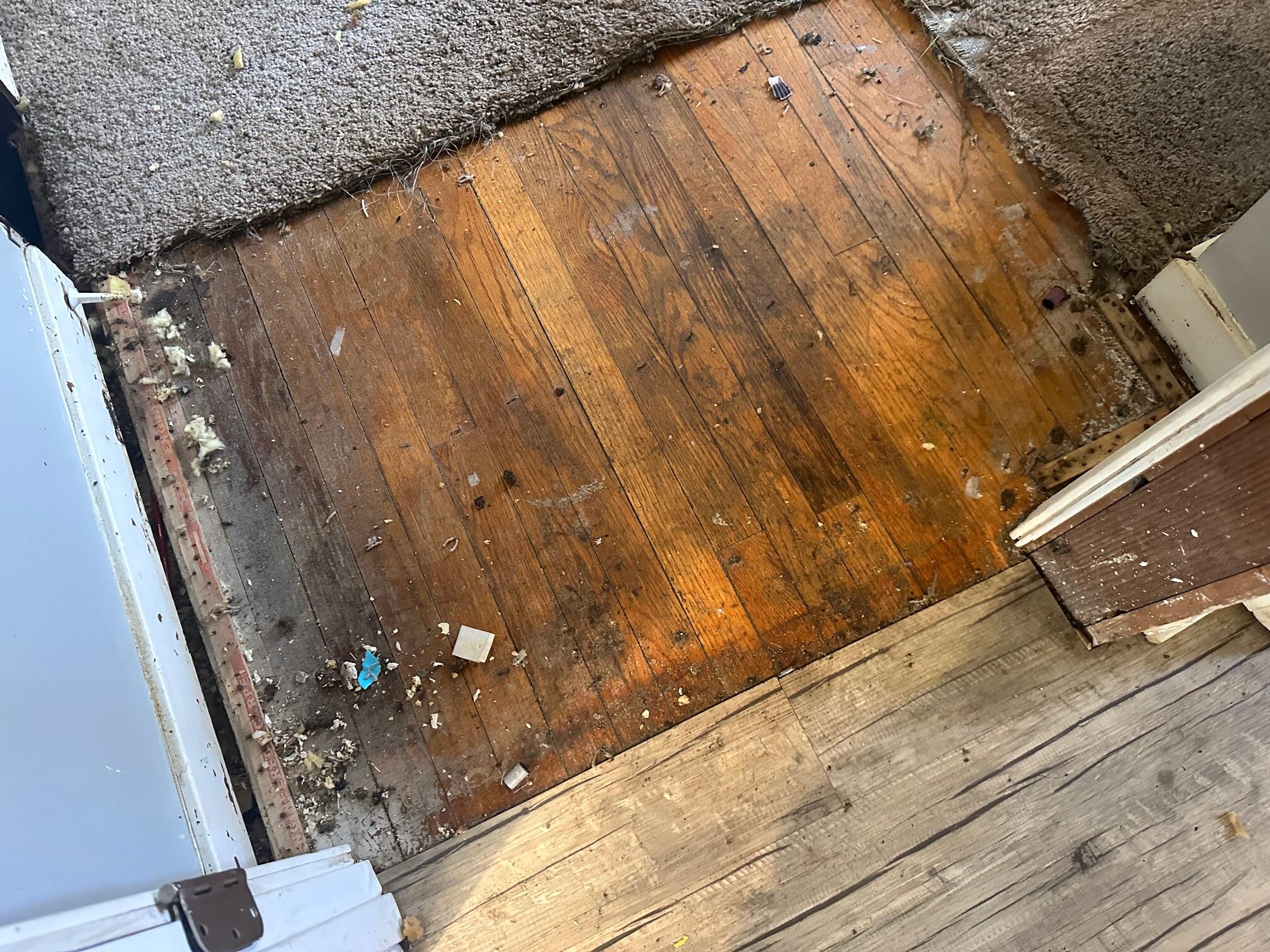 N1224 Clover Road Bloomfield, WI 53128 - Photo 25 of 29 Hardwood floors