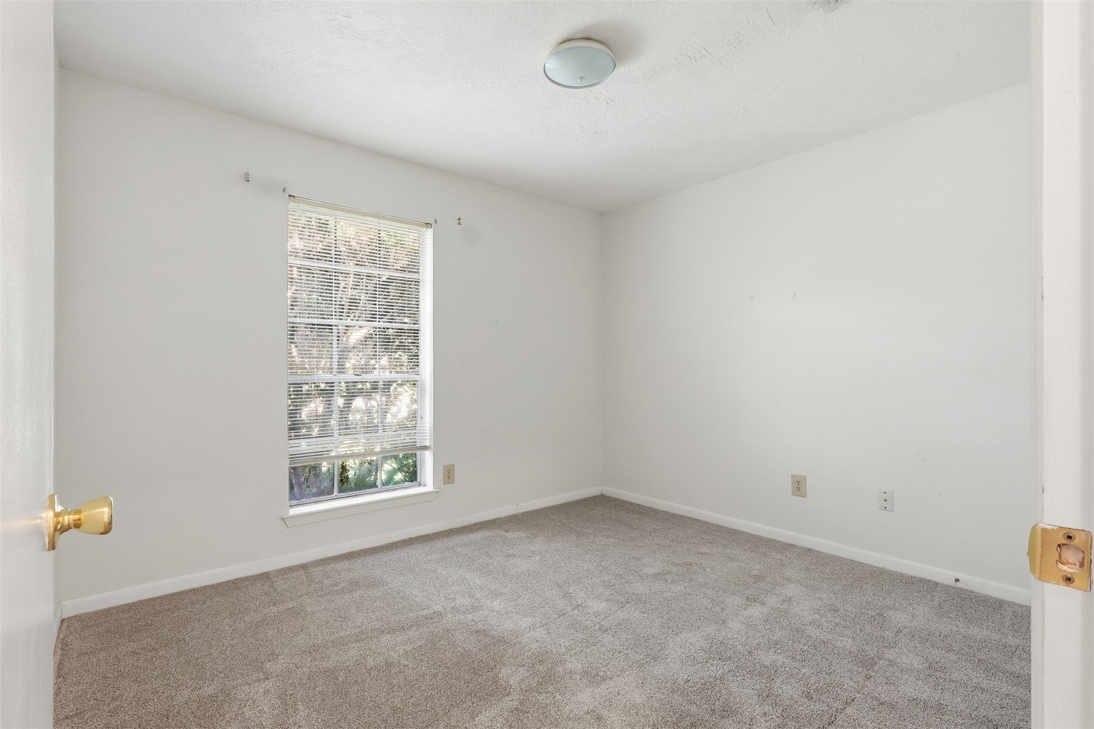 10110 Shell Rock Road La Porte, TX 77571 - Photo 13 of 24 Gallery Image 13