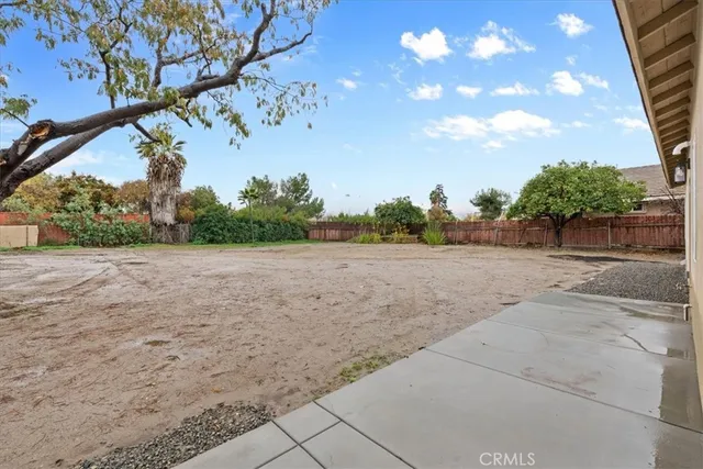 a view of a yard with plants and a large tree