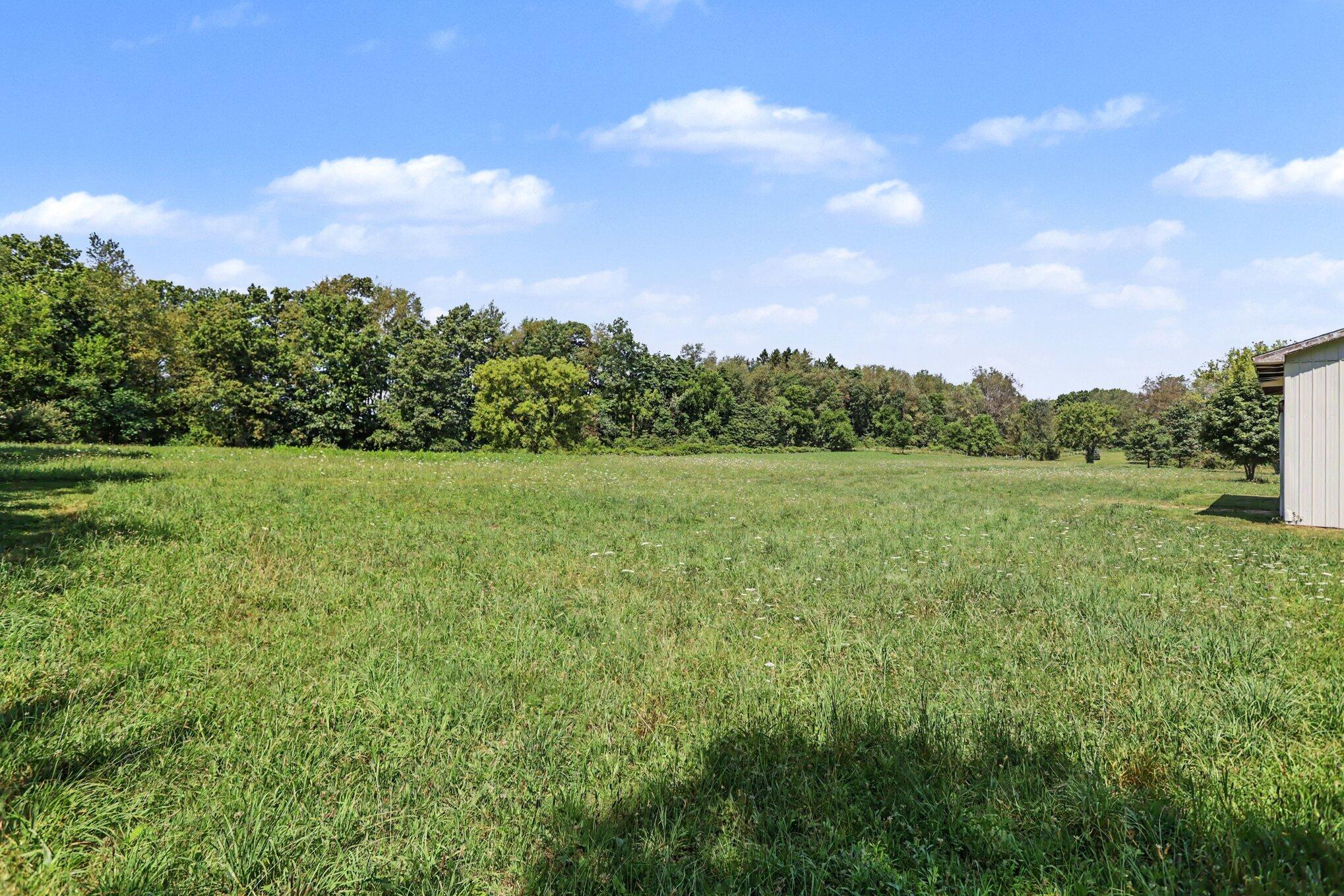 10064 Love Road Bellevue, MI 49021 - Photo 34 of 44 Meadow