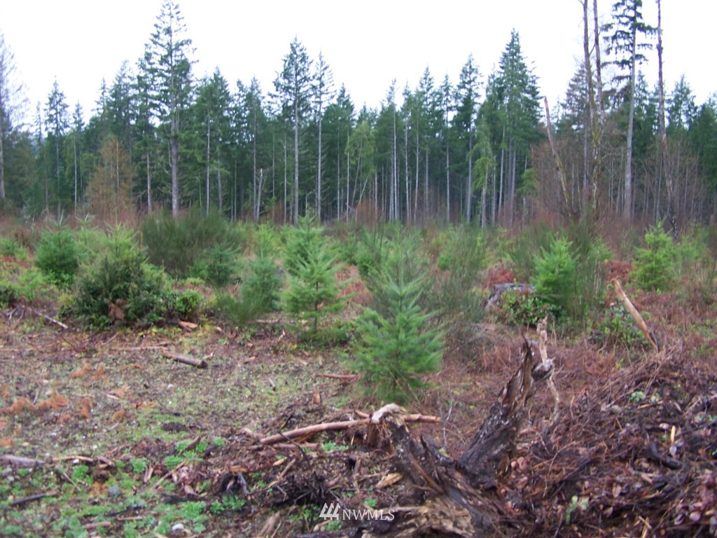 70 Southwest Pine Road Port Orchard, WA 98367 - Photo 1 of 1 Gallery Image 1
