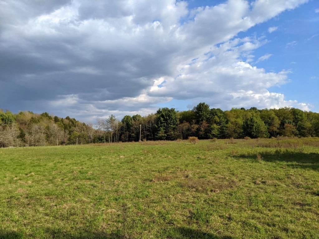 245 Town Line Road New Lisbon, NY 13796 - Photo 1 of 1