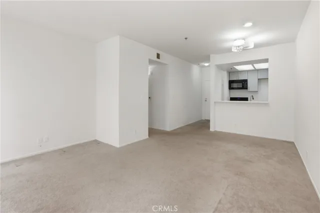 a view of a big room with closet and windows