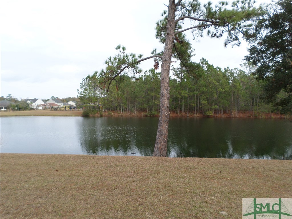 244 Opus Court Pooler, GA 31322 - Photo 23 of 27 Lagoon