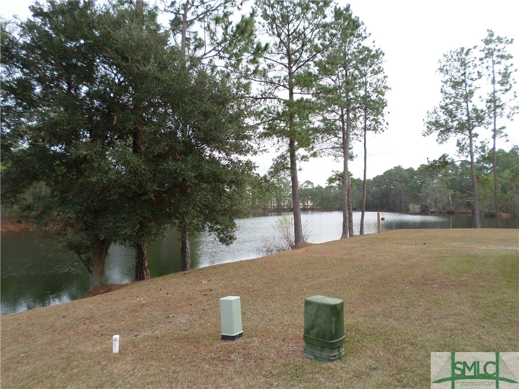 244 Opus Court Pooler, GA 31322 - Photo 24 of 27 Lagoon