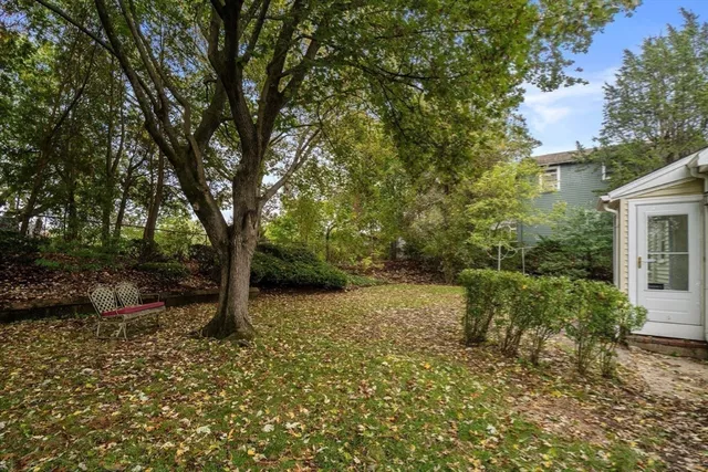 a view of backyard with tree