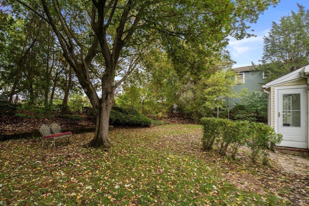 46 Bayard Street Dedham, MA 02026 - Photo 30 of 34 a view of backyard with tree