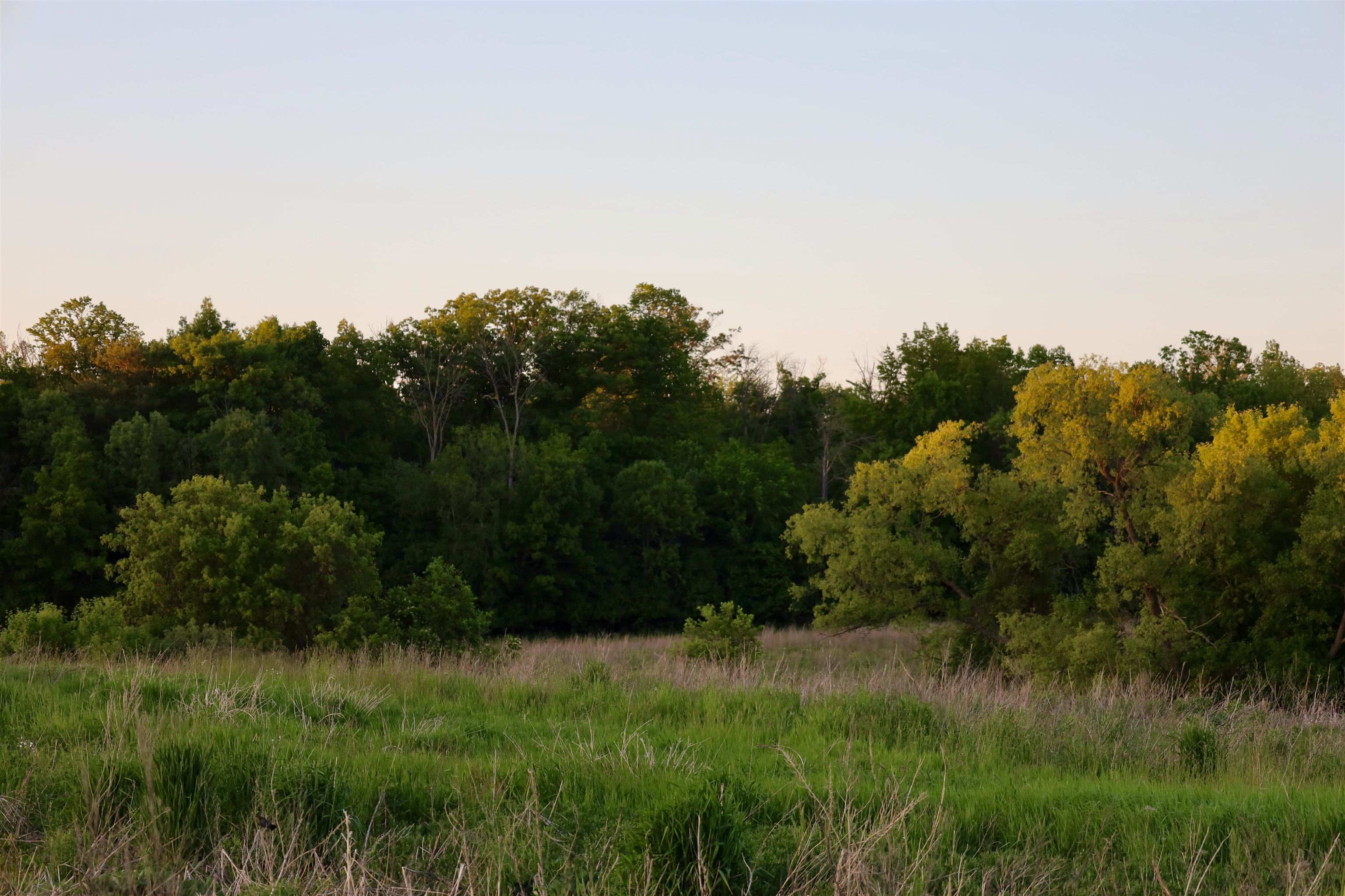 Lot 6 Rangeline Sheboygan, WI 53083 - Photo 31 of 35