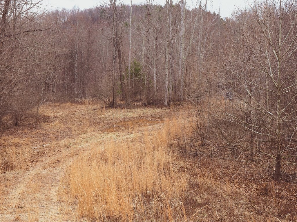 Tbd Foster Falls Road, Unit 6 Max Meadows, VA 24360 - Photo 17 of 21 Gallery Image 17