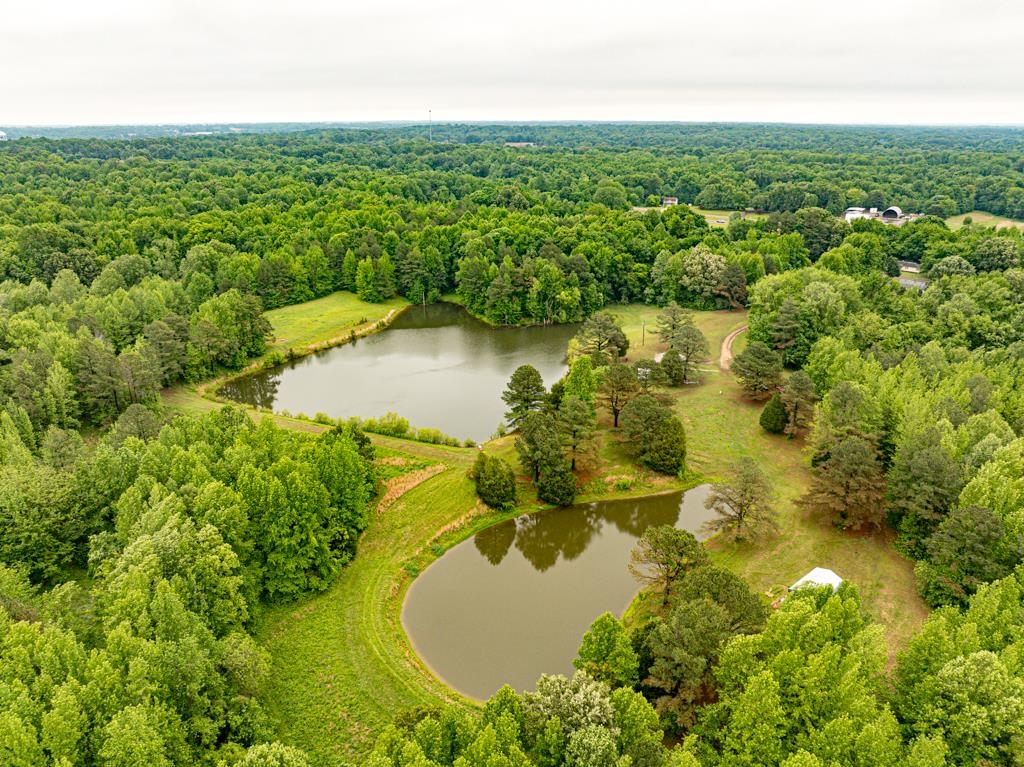 0 Poplar Grove Cemetery Road Henning, TN 38041 - Photo 24 of 40 Expansive acreage featuring two ponds, surrounded by mature trees and verdant landscapes