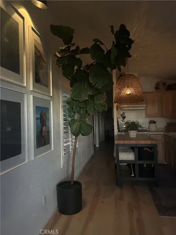 a view of kitchen with furniture and a potted plant