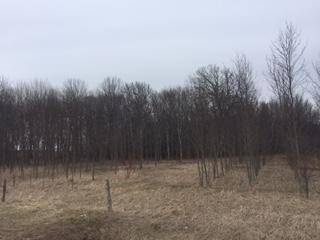 thumbnail_IMG_2377