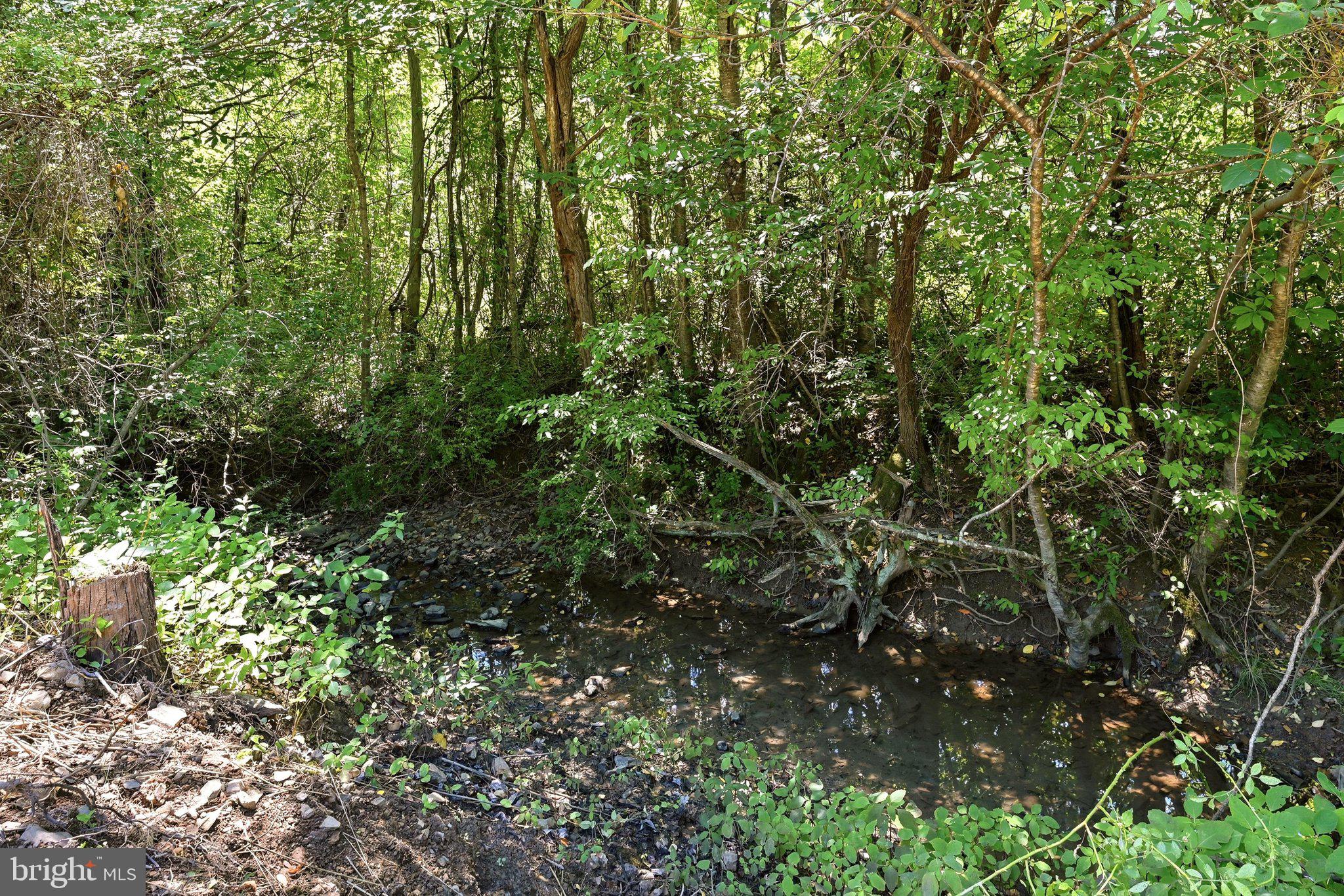 1355 Perry Road Winchester, VA 22602 - Photo 48 of 49 Creek - your dog will love it!!