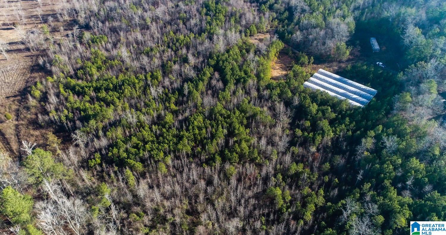 203 Racers Lane, Unit 1 Oxford, AL 36203 - Photo 8 of 21
