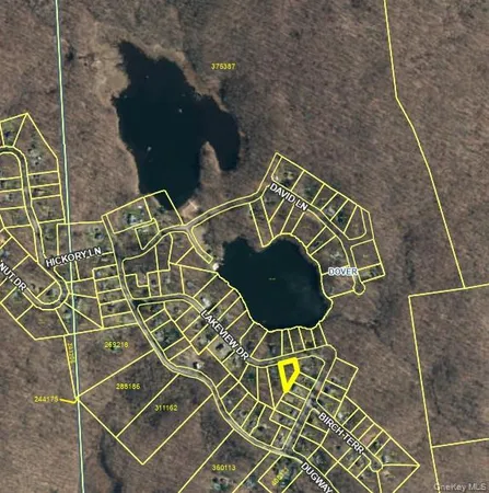 a view of a park with trees