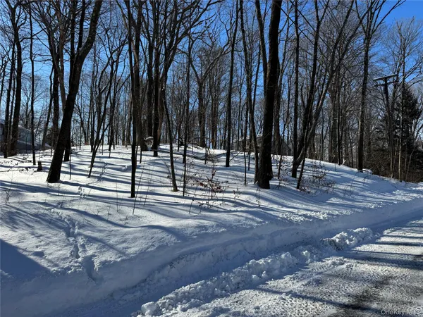 a view of road with trees