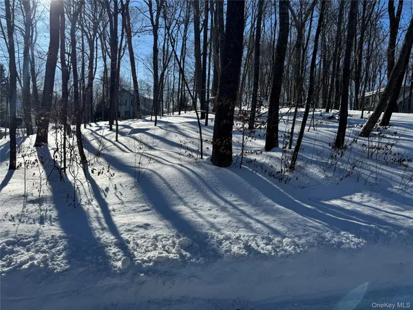 $87,500 | Lakeview Drive, Pawling, NY 12564