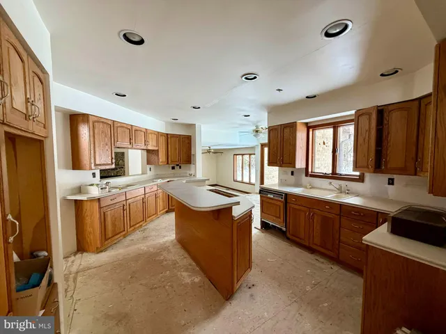 a view of road with large trees