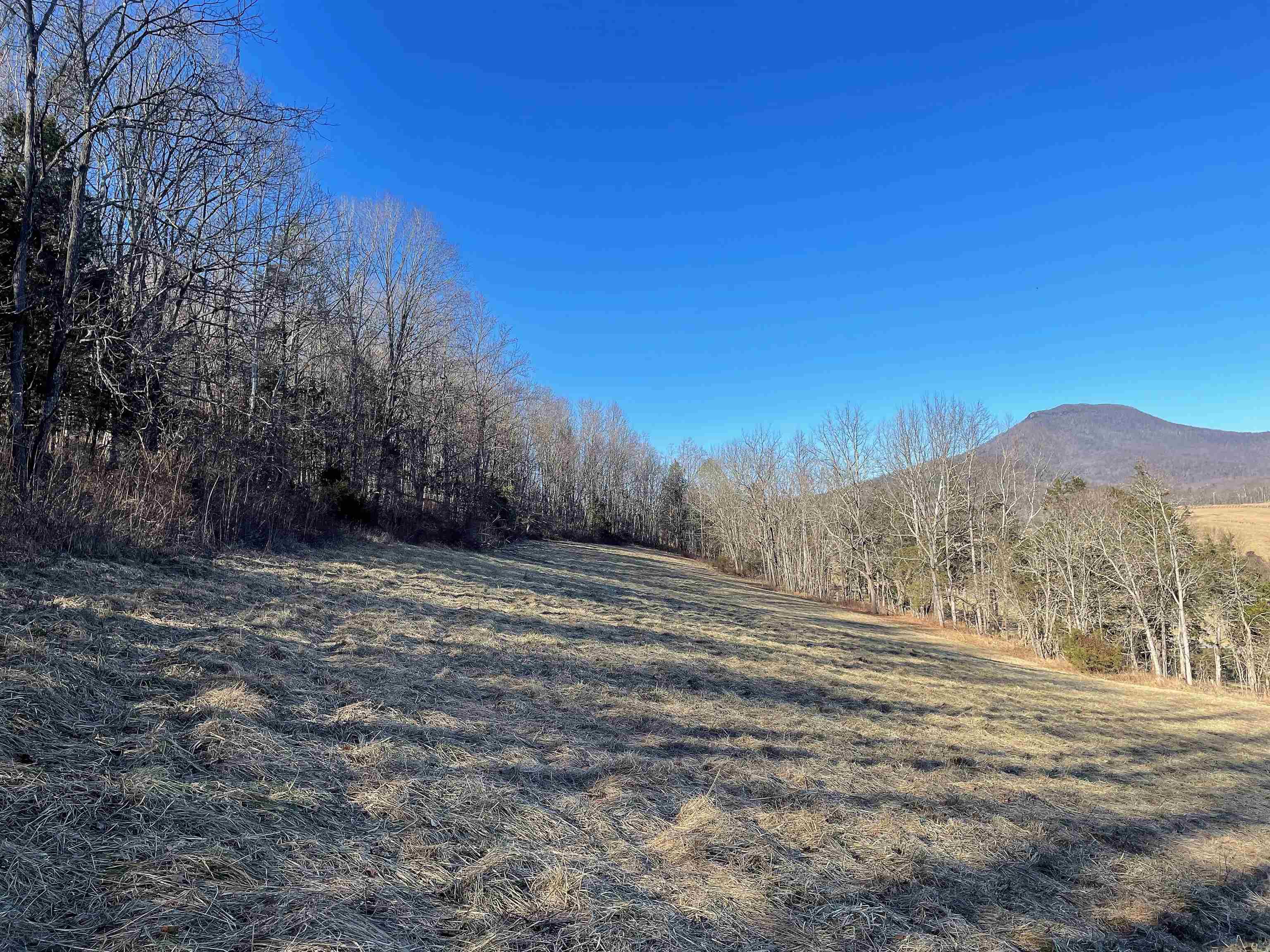 Pearl Ridge Lane Lexington, VA 24450 - Photo 3 of 9 Gallery Image 3
