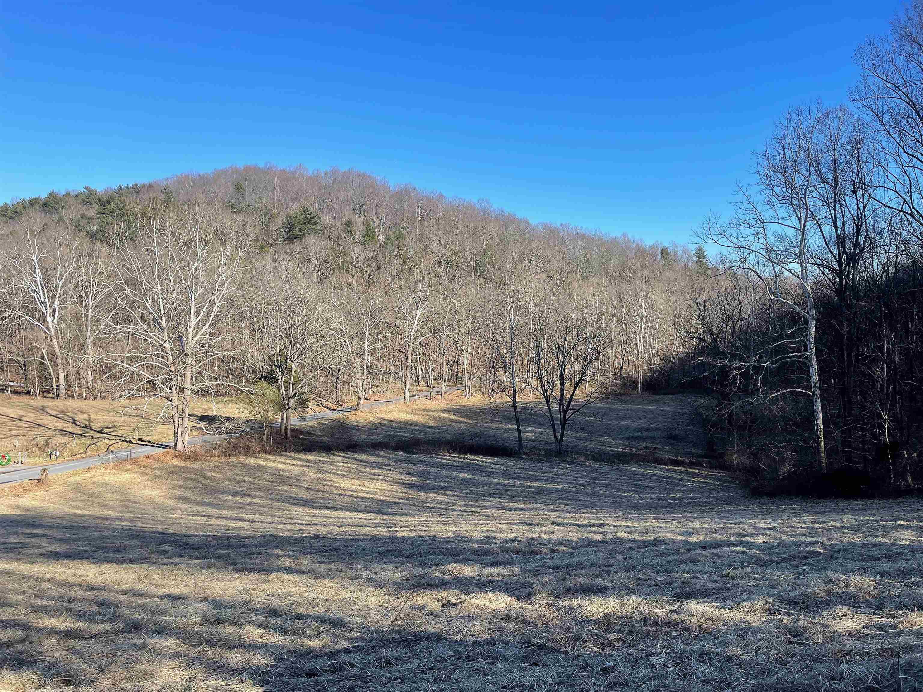 Pearl Ridge Lane Lexington, VA 24450 - Photo 4 of 9 Gallery Image 4