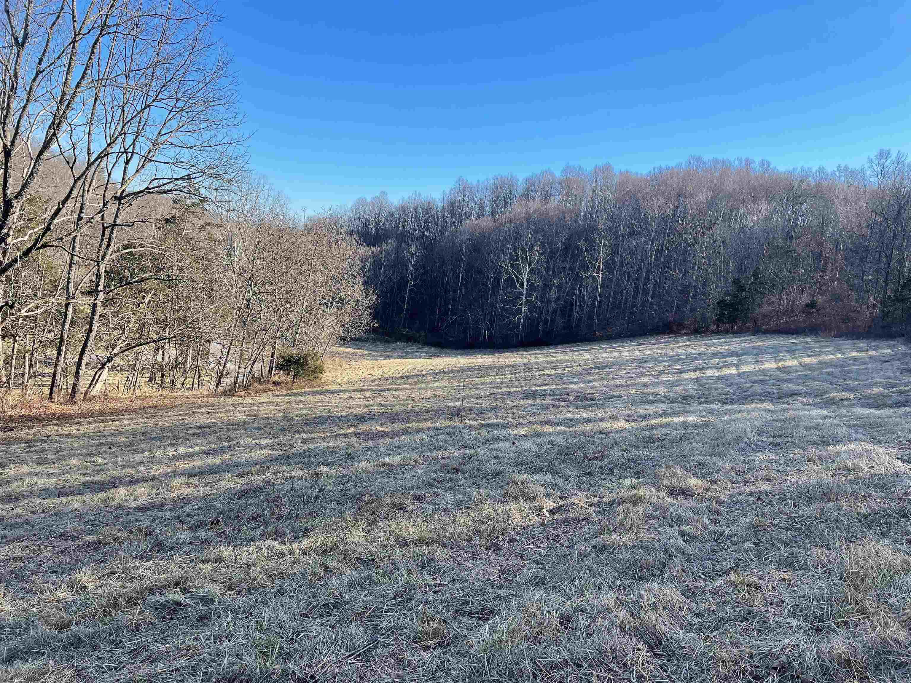 Pearl Ridge Lane Lexington, VA 24450 - Photo 5 of 9 Gallery Image 5