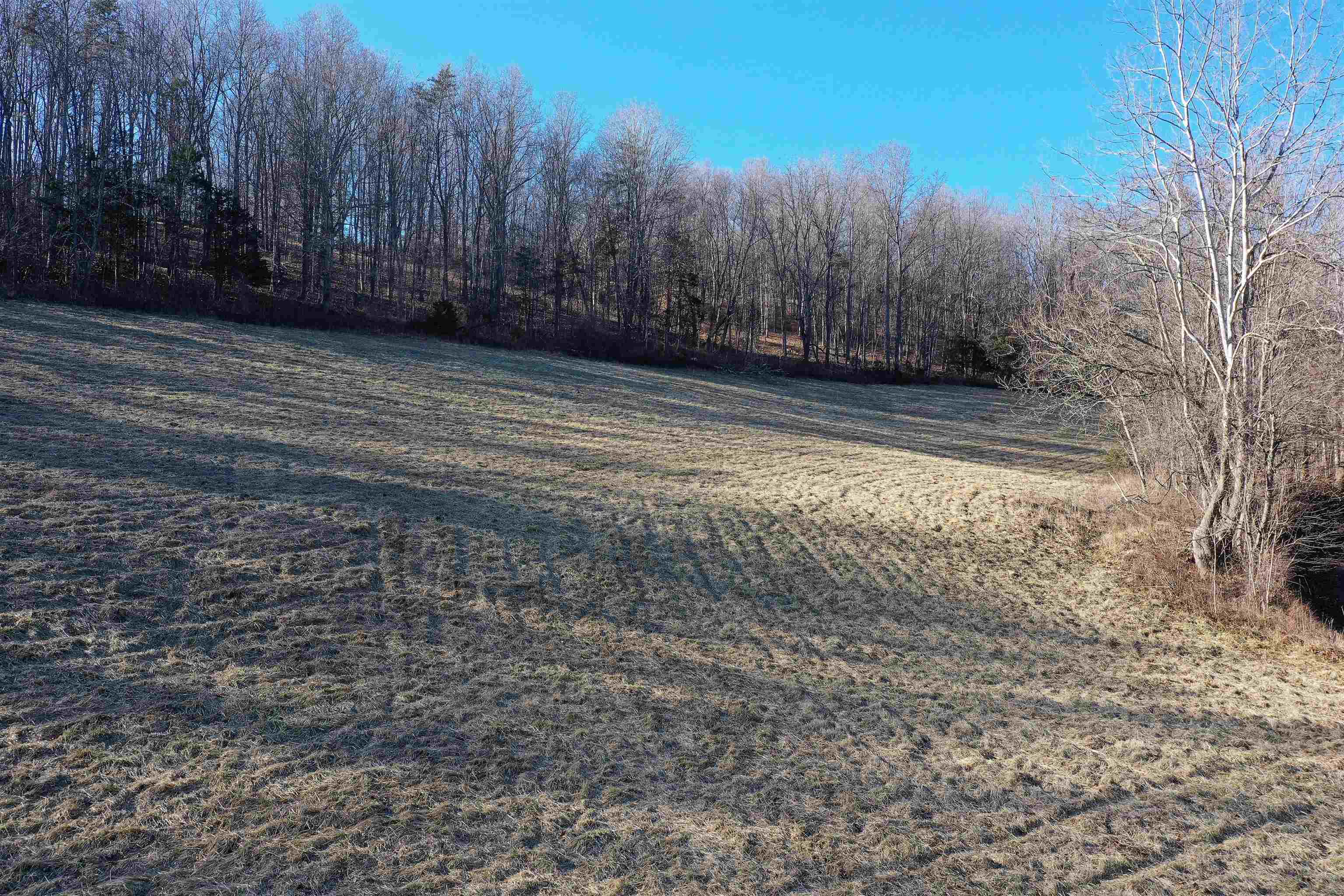 Pearl Ridge Lane Lexington, VA 24450 - Photo 8 of 9 Gallery Image 8