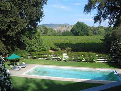 989 Rutherford Road Napa, CA 94558 - Photo 3 of 4 a view of a park with large trees