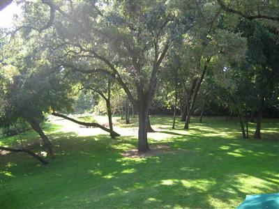989 Rutherford Road Napa, CA 94558 - Photo 4 of 4 a backyard of a house with lots of green space