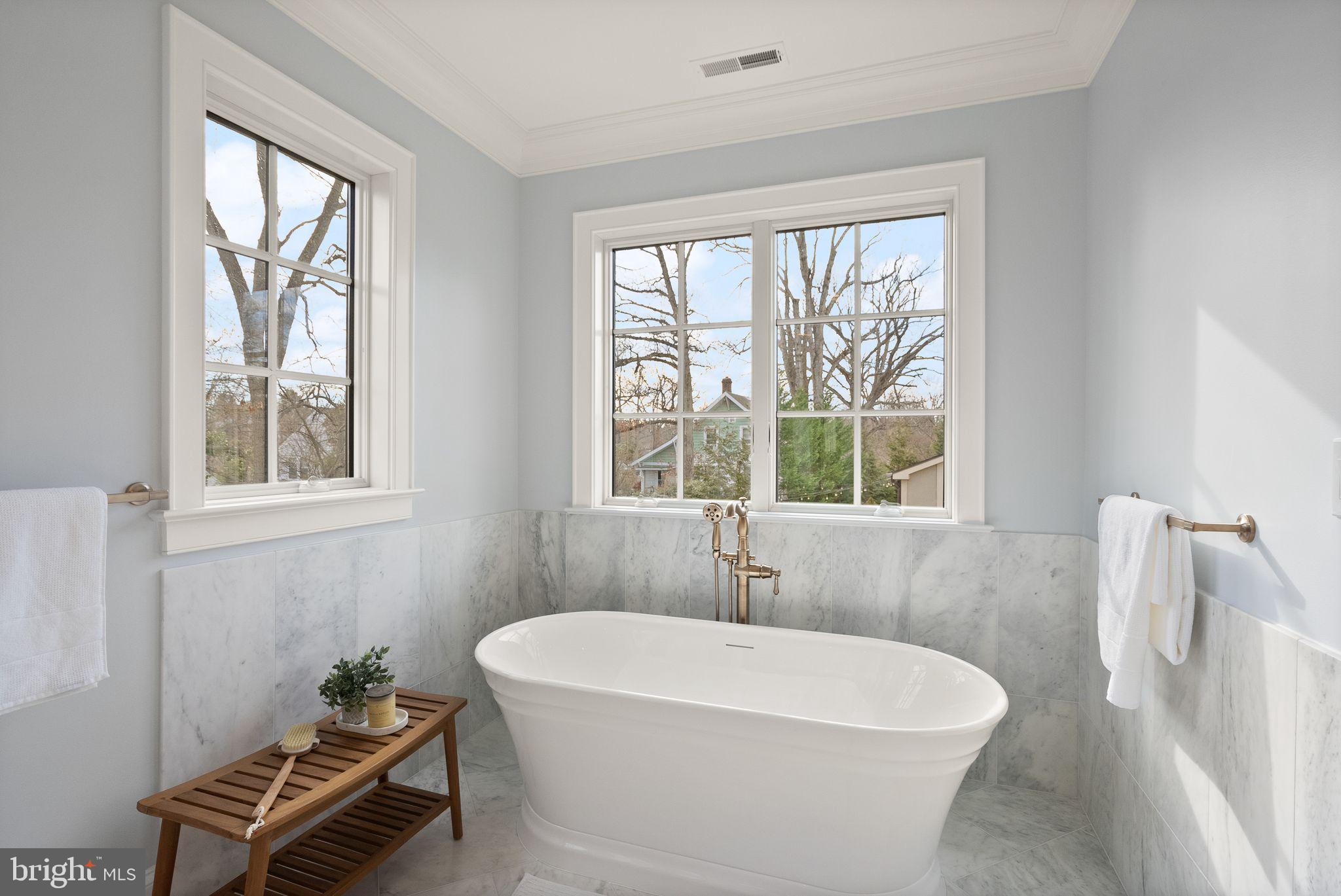 3941 North Glebe Road Arlington, VA 22207 - Photo 44 of 76 Stand-alone soaking tub.