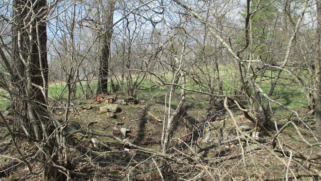 Tbd Forest Ridge Road Independence, VA 24348 - Photo 10 of 12 Gallery Image 10