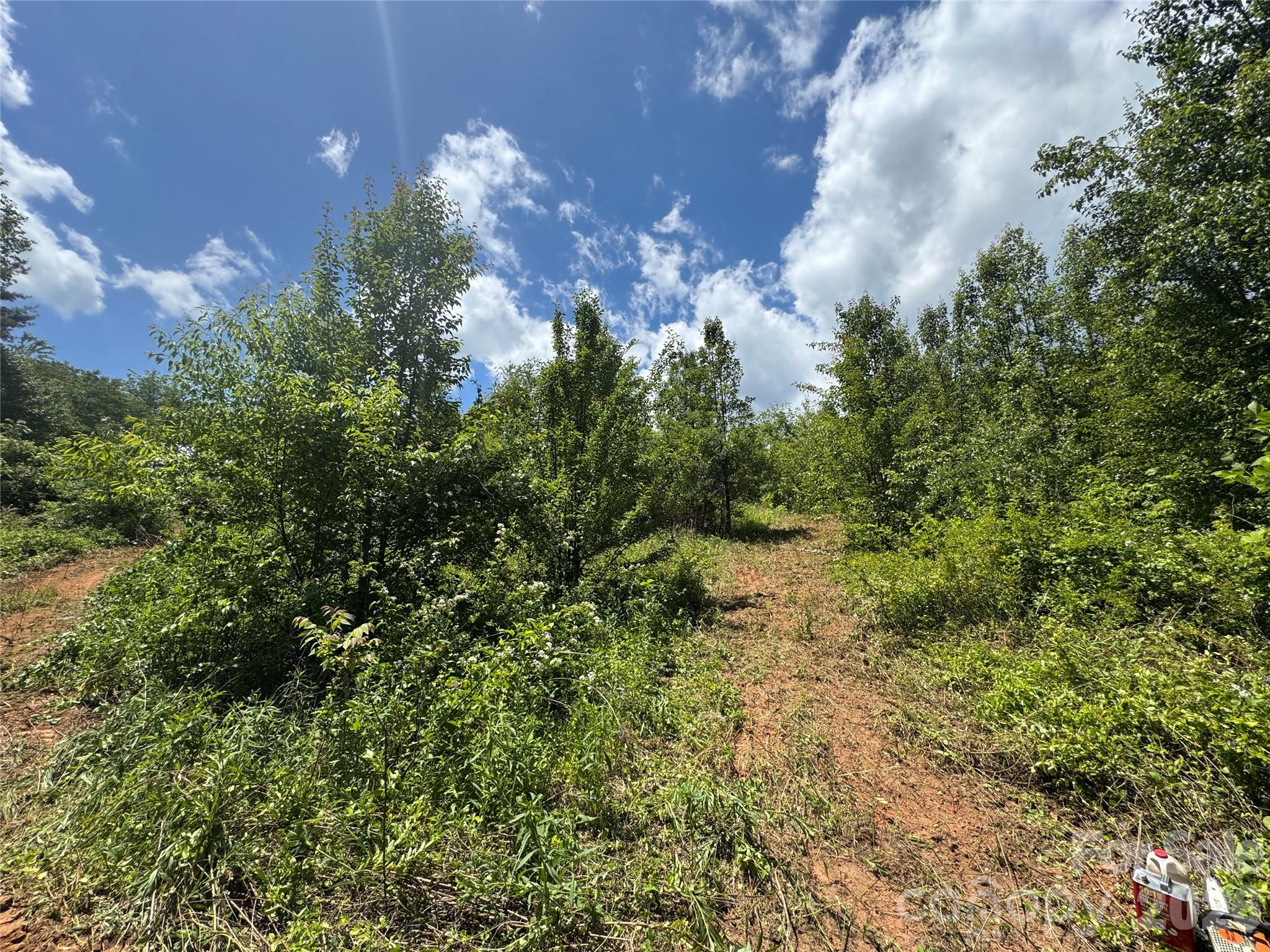 Tbd Duckett Road Candler, NC 28715 - Photo 6 of 17