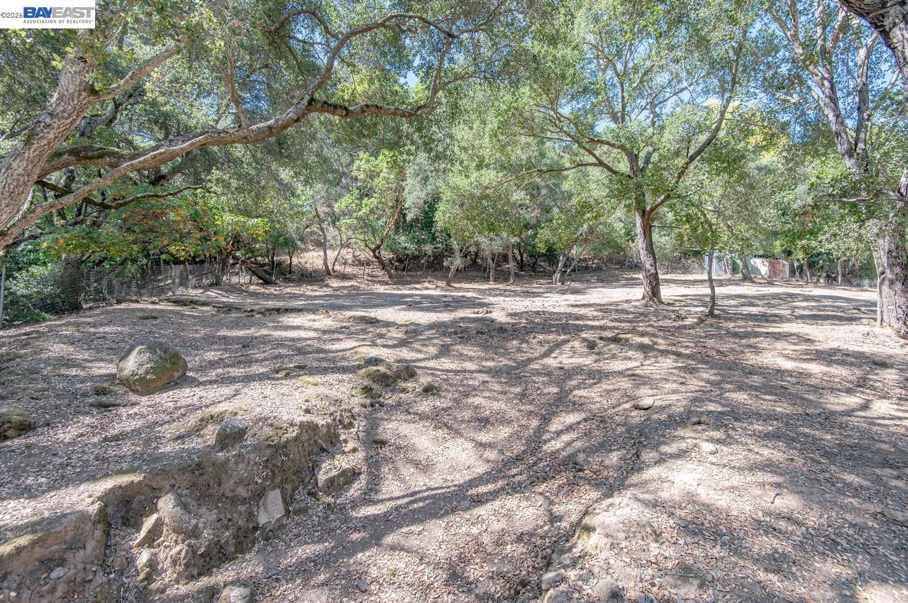 35575 Palomares Road Castro Valley, CA 94552 - Photo 62 of 85 Gallery Image 62