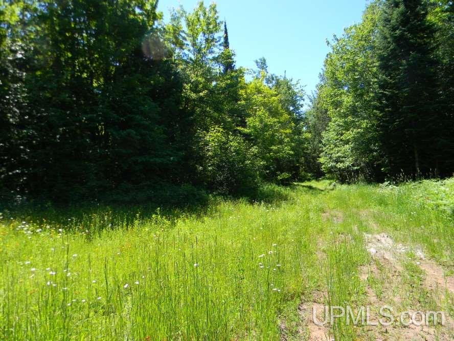 Tbd Asumaa Rd 120 Acres Atlantic Mine, MI 49905 - Photo 4 of 12