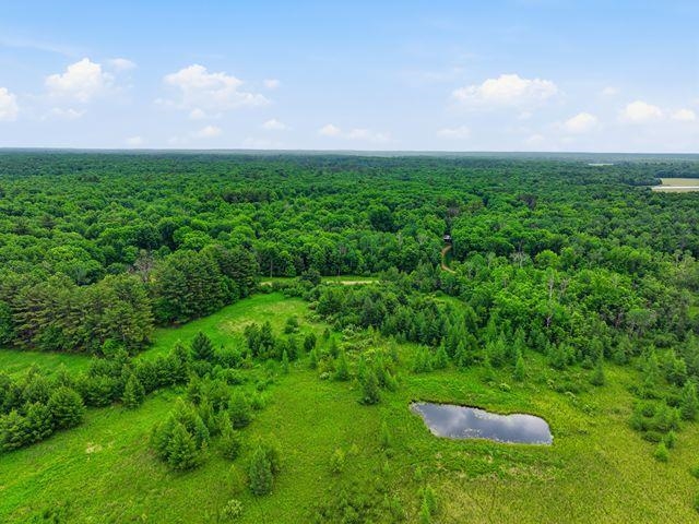 0 Holst Road Pittsville, WI 54466 - Photo 4 of 18