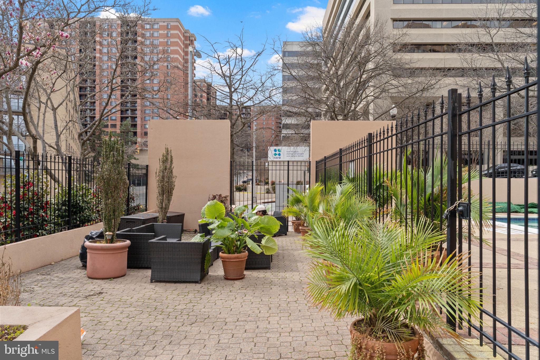1301 North Courthouse Road, Unit 914 Arlington, VA 22201 - Photo 32 of 50 a view of a potted plants next to a building