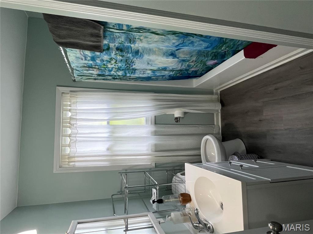 318 3rd Street Winfield, MO 63389 - Photo 18 of 25