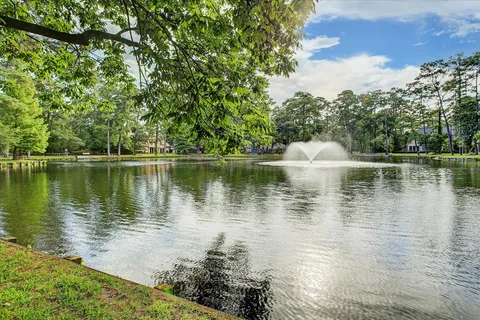 $3,895,000 | 45 Patti Lynn Lane, Houston, TX 77024