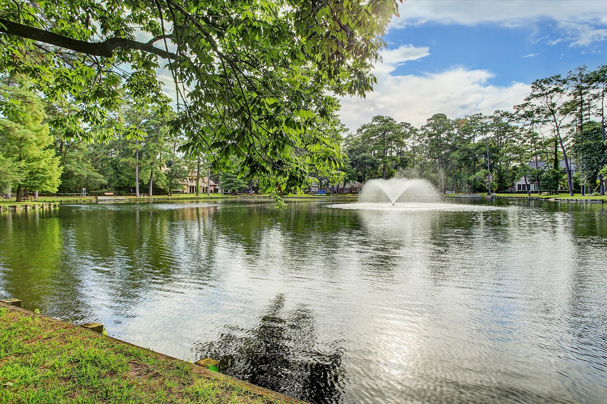 45 Patti Lynn Lane Houston, TX 77024 - Photo 46 of 49 a body of water with a tree in the background