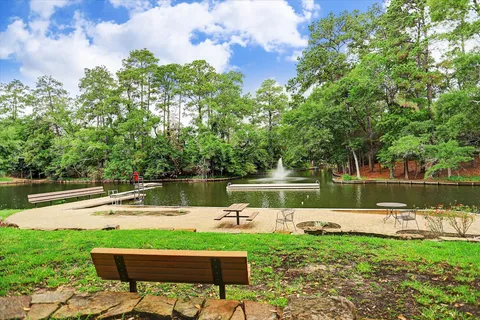$3,895,000 | 45 Patti Lynn Lane, Houston, TX 77024