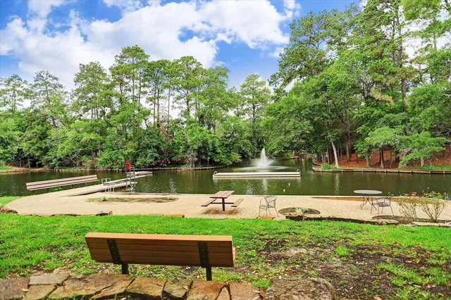 $3,895,000 | 45 Patti Lynn Lane, Houston, TX 77024