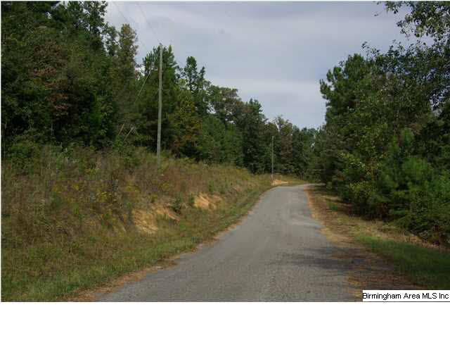 Turkey Ridge, Unit 11 Ragland, AL 35131 - Photo 10 of 31