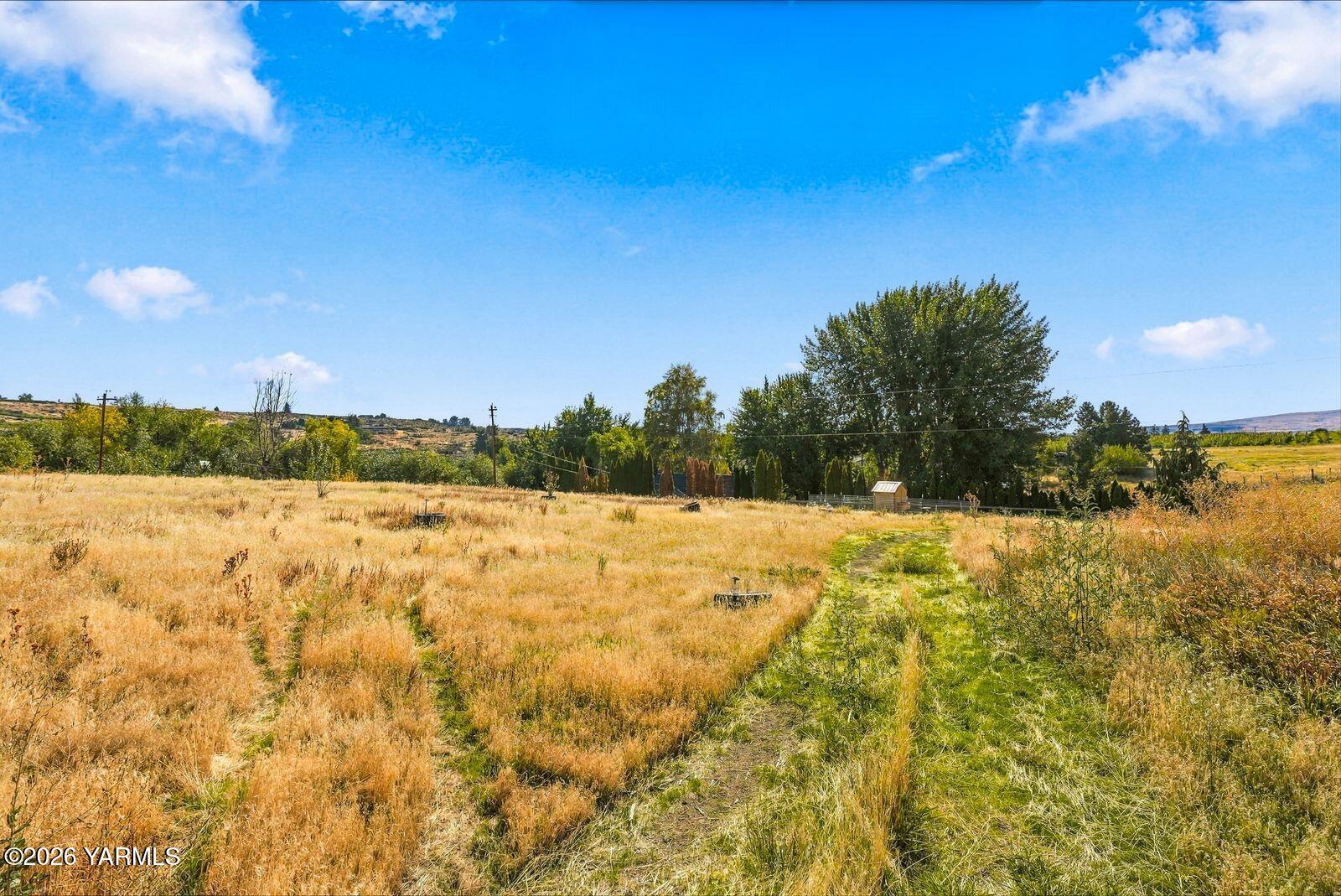 592 Livengood Road Cowiche, WA 98923 - Photo 43 of 51 Upper pasture