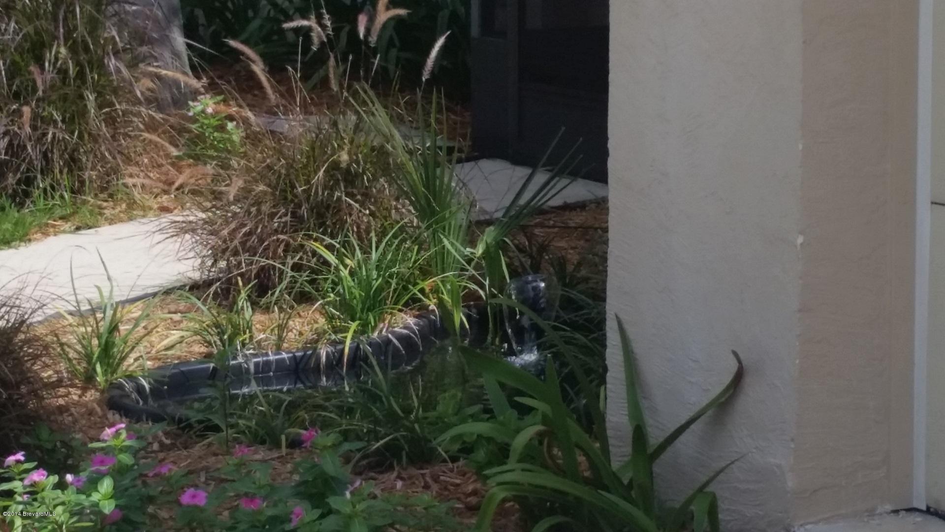 5657 Flint Road Cocoa, FL 32927 - Photo 29 of 29 Landscape
