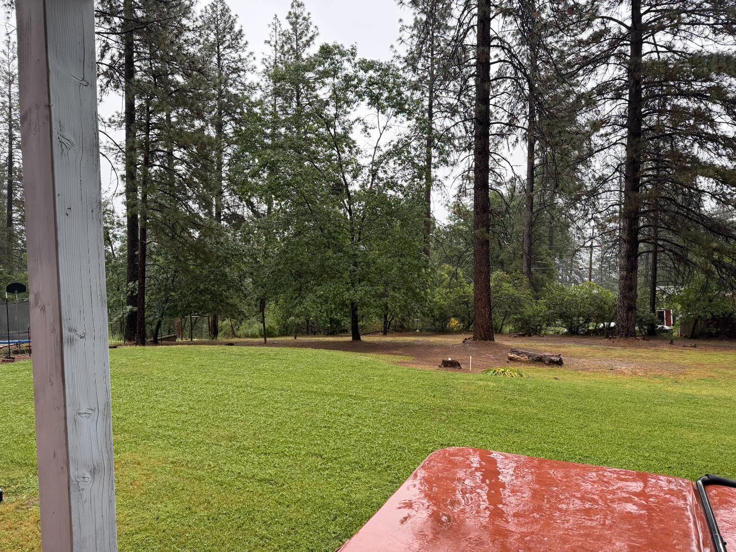 645 Rigby Lane Applegate, CA 95703 - Photo 15 of 52 a view of outdoor space with trees all around