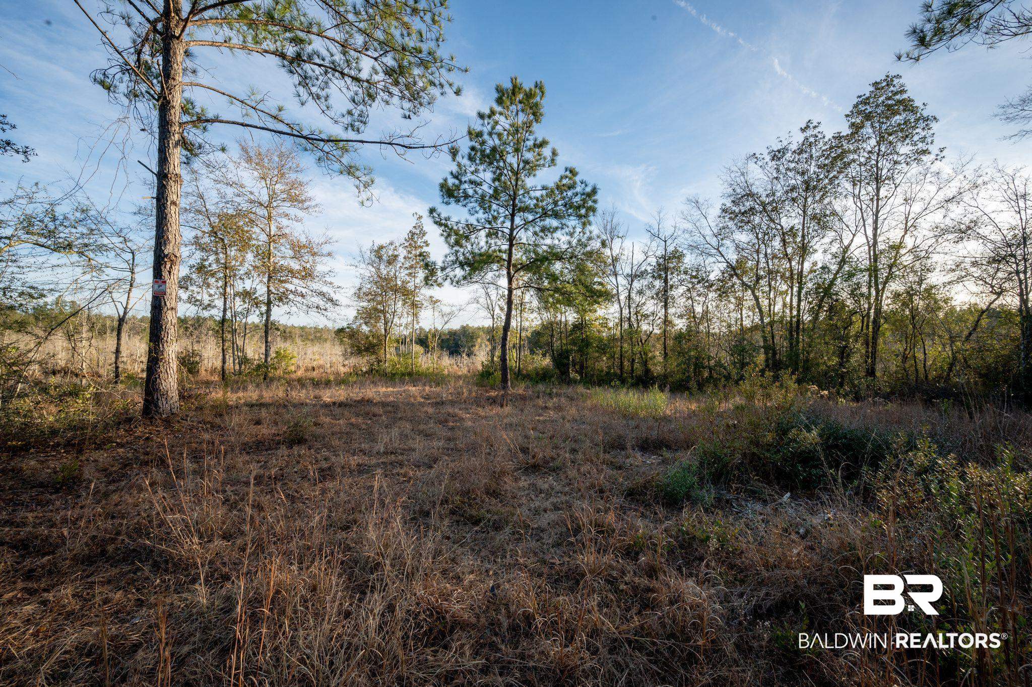 1 Beverly Jeffries Highway Citronelle, AL 36522 - Photo 11 of 12