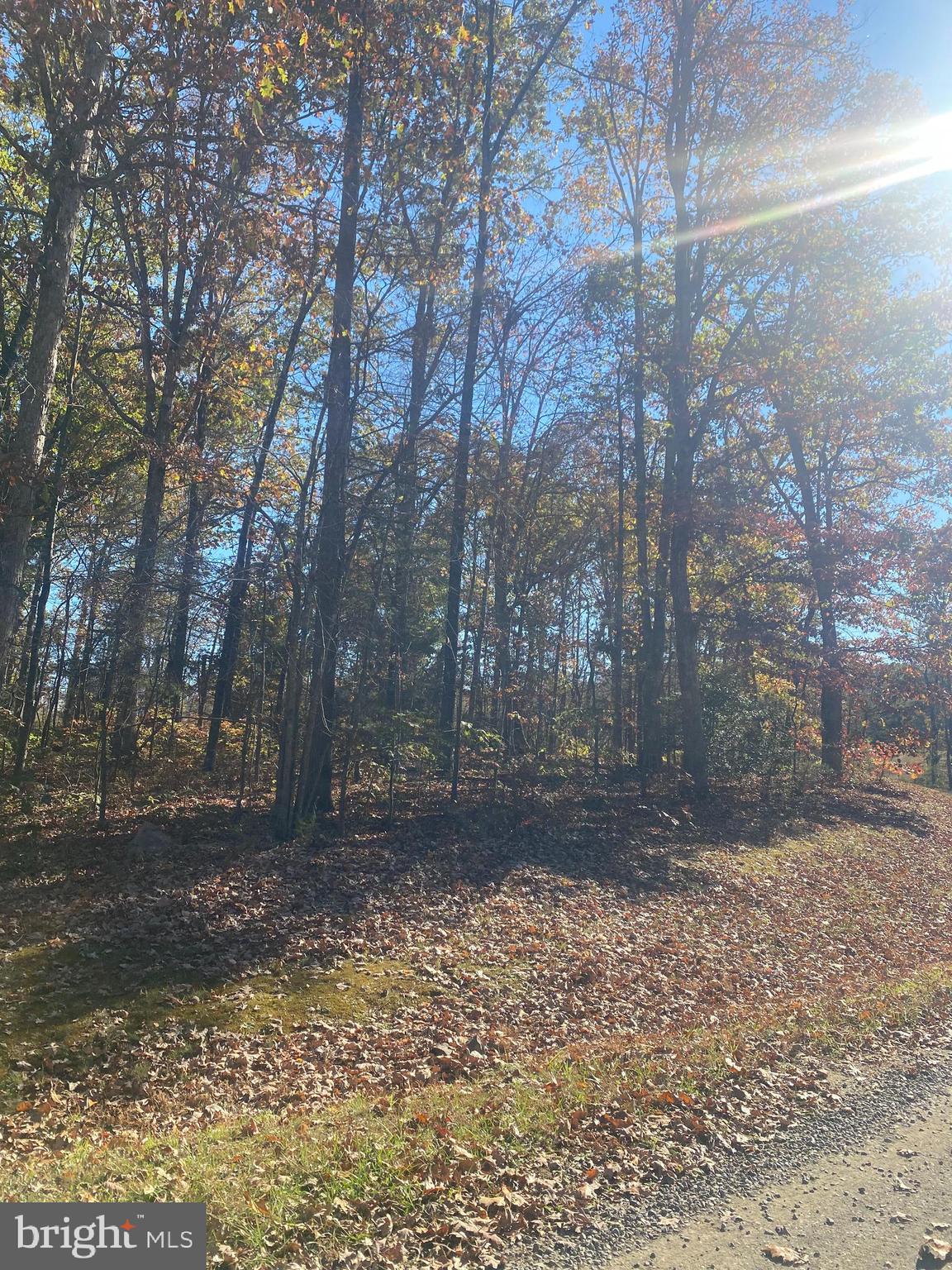 0 Cornfield Lane Rhoadesville, VA 22542 - Photo 11 of 14